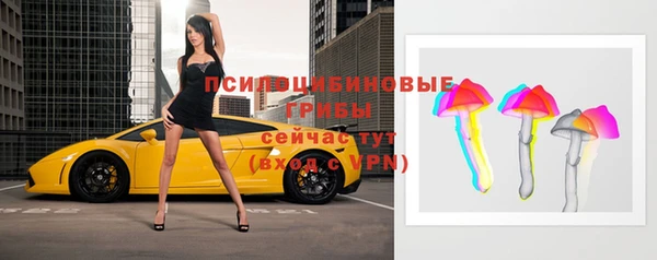 тгк Алзамай