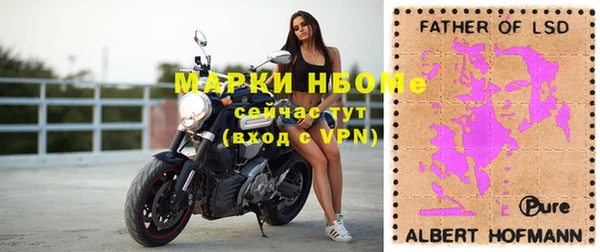 дурь Алексин