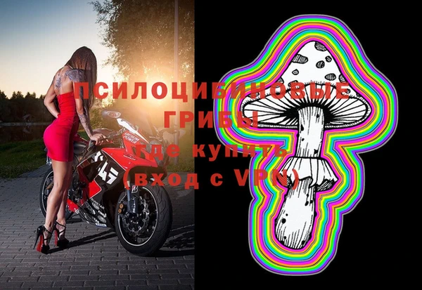 дурь Алексин