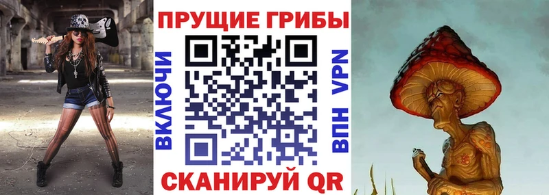 Галлюциногенные грибы ЛСД  Белореченск 